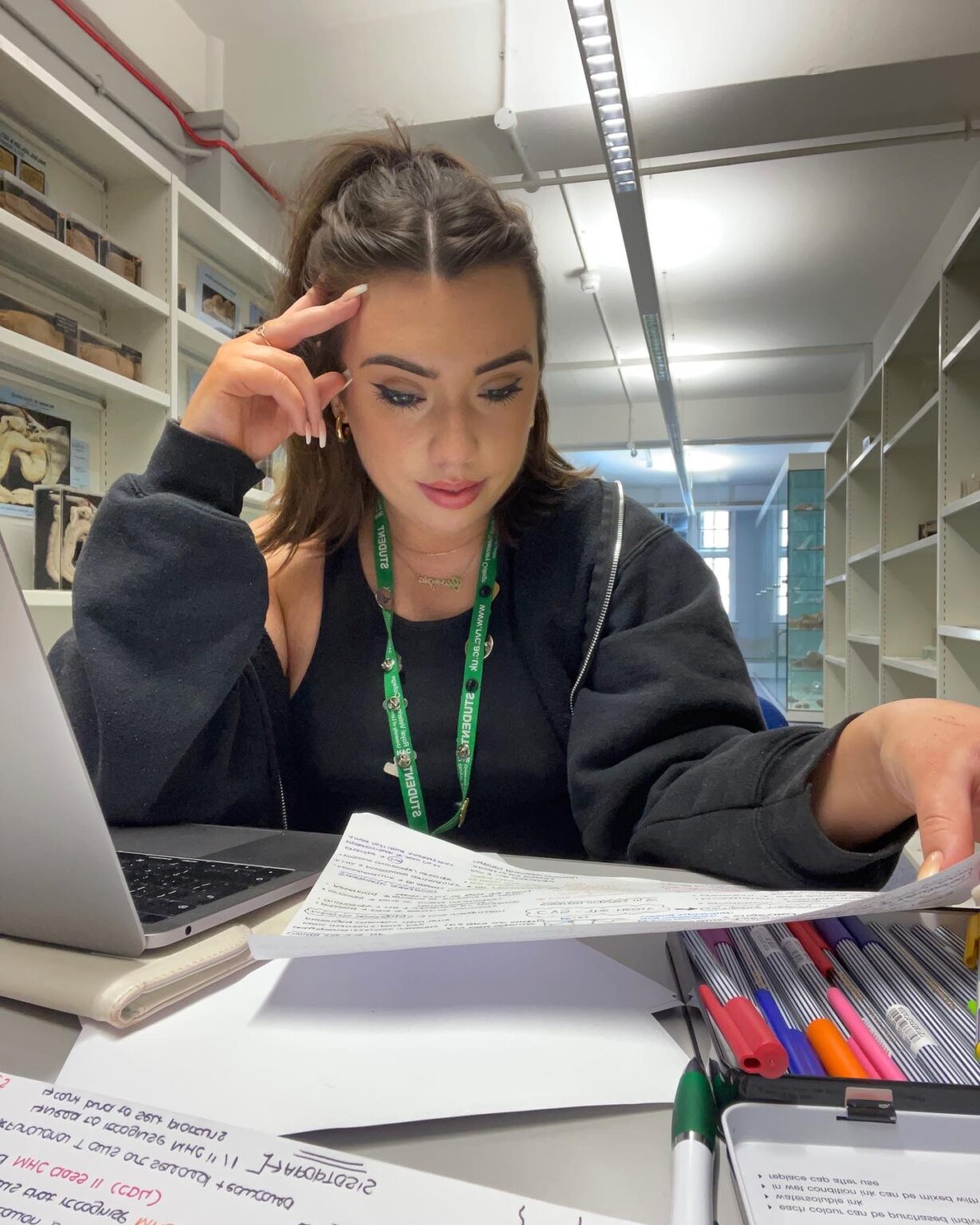 Everything You Need To Know Before Starting Vet School GVC Vets