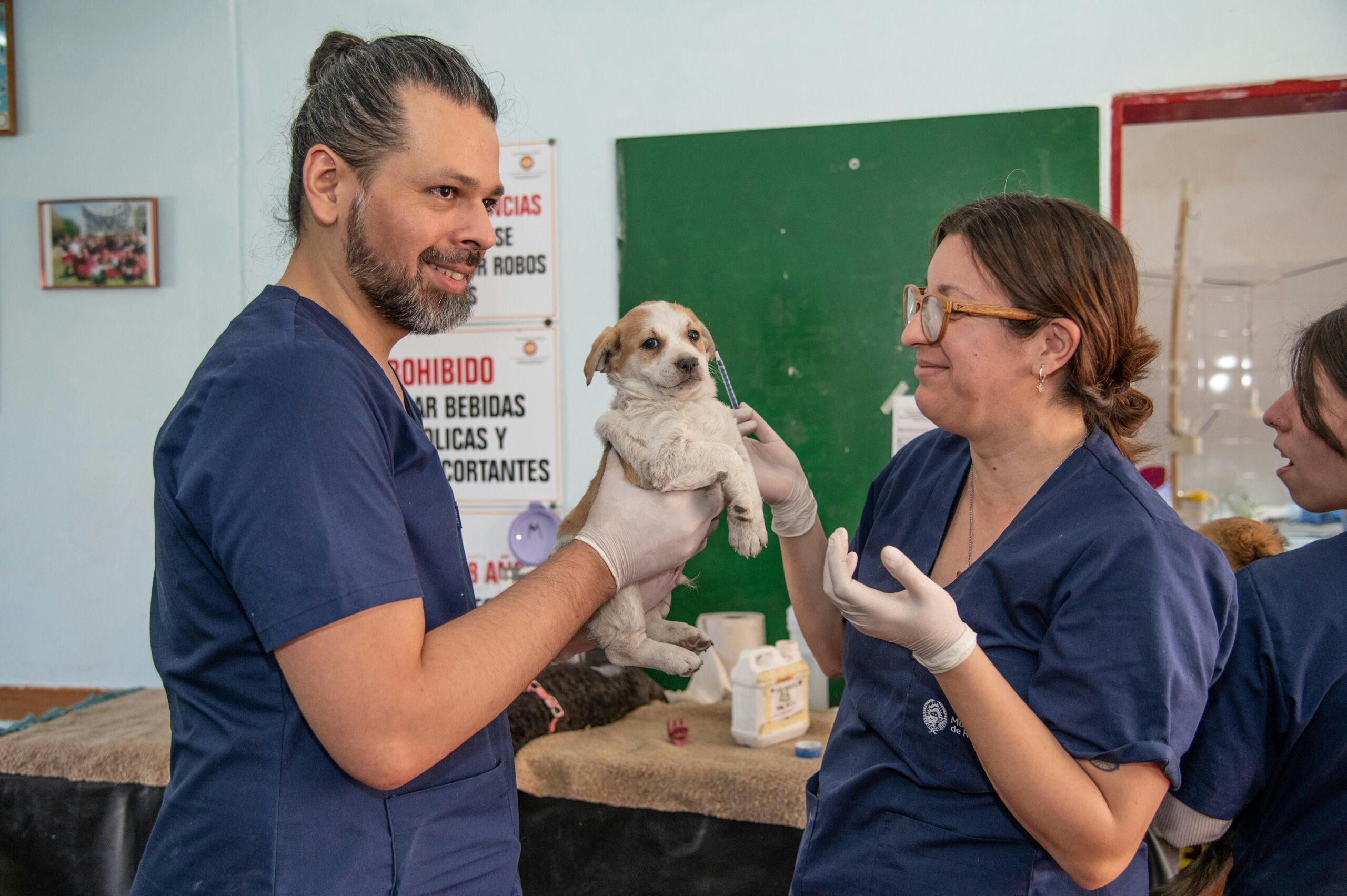 How GVC Builds Veterinary Teams That Last